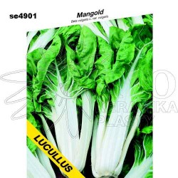 Mangold LUCULLUS